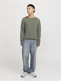 JJELEO KNIT CREW NECK NOOS agave green