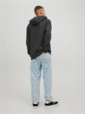 JJELOGO SWEAT HOOD 2 COL 22/23 NOOS black