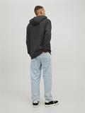 JJELOGO SWEAT HOOD 2 COL 22/23 NOOS black