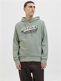 JJELOGO SWEAT HOOD 2 COL 25/26 NOOS iceberg green