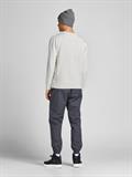 JJEORGANIC BASIC SWEAT CREW NECK NOOS cloud dancer