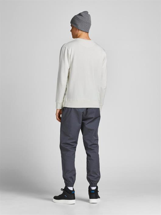 jjeorganic-basic-sweat-crew-neck-noos-cloud-dancer