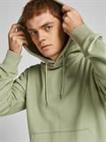 JJEORGANIC BASIC SWEAT HOOD NOOS tea-reg