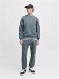 JJESOHO SWEAT CREW NECK NOOS stormy weather