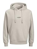 JJESOHO SWEAT HOOD NOOS moonbeam