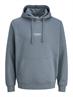 JJESOHO SWEAT HOOD NOOS stormy weather