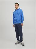 JJESTAR BASIC SWEAT HOOD NOOS french blue
