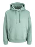 JJESTAR JJ SWEAT HOOD NOOS mineral blue