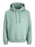 JJESTAR JJ SWEAT HOOD NOOS mineral blue