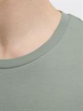 JJGEPLAS TEE SS CREW NECK LN iceberg green