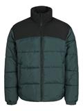 JJMOON STAND COLLAR PUFFER magical forest