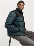 JJMOON STAND COLLAR PUFFER magical forest