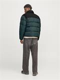 JJMOON STAND COLLAR PUFFER magical forest