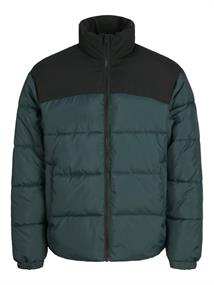 JJMOON STAND COLLAR PUFFER magical forest