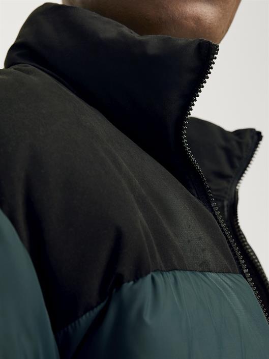jjmoon-stand-collar-puffer-magical-forest