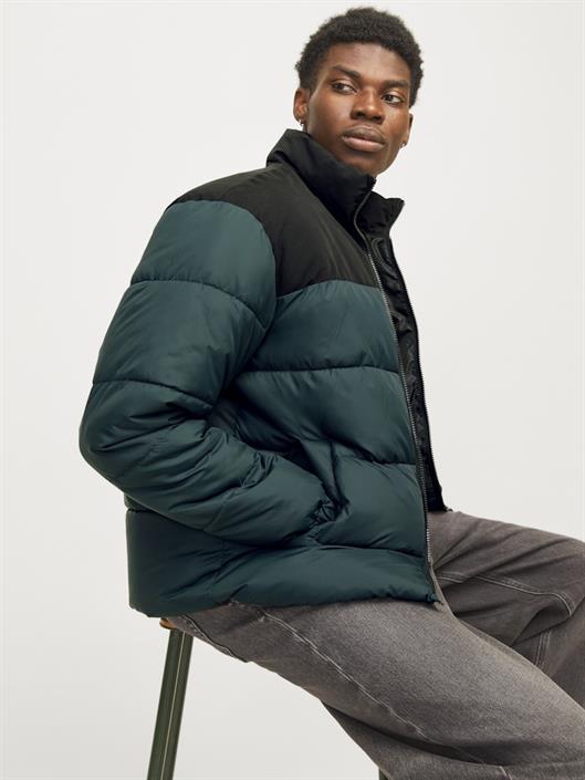 jjmoon-stand-collar-puffer-magical-forest
