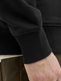 JJPALM SWEAT HOOD black