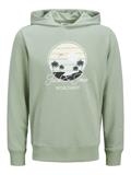 JJPALM SWEAT HOOD iceberg green