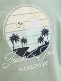 JJPALM SWEAT HOOD iceberg green