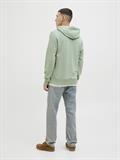 JJPALM SWEAT HOOD iceberg green