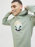 JJPALM SWEAT HOOD iceberg green