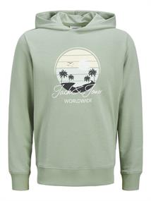 JJPALM SWEAT HOOD iceberg green