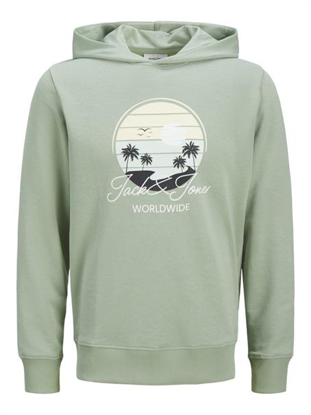 JJPALM SWEAT HOOD iceberg green