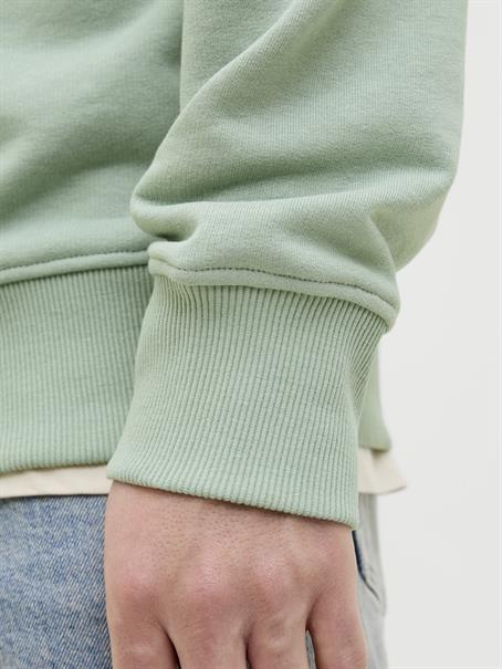 JJPALM SWEAT HOOD iceberg green