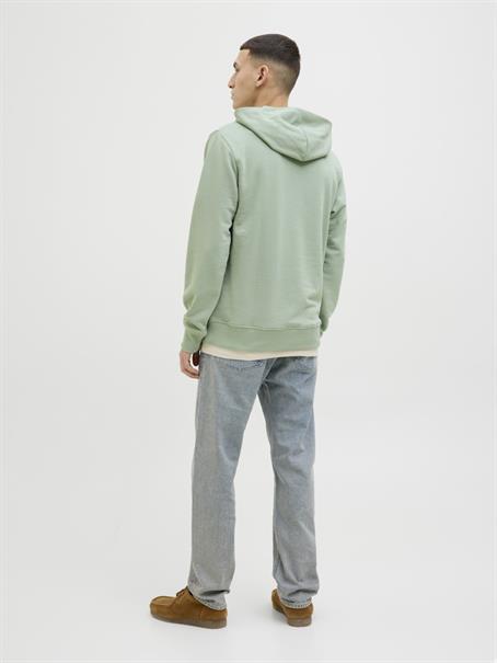 JJPALM SWEAT HOOD iceberg green