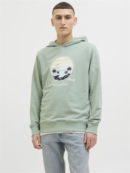 JJPALM SWEAT HOOD iceberg green