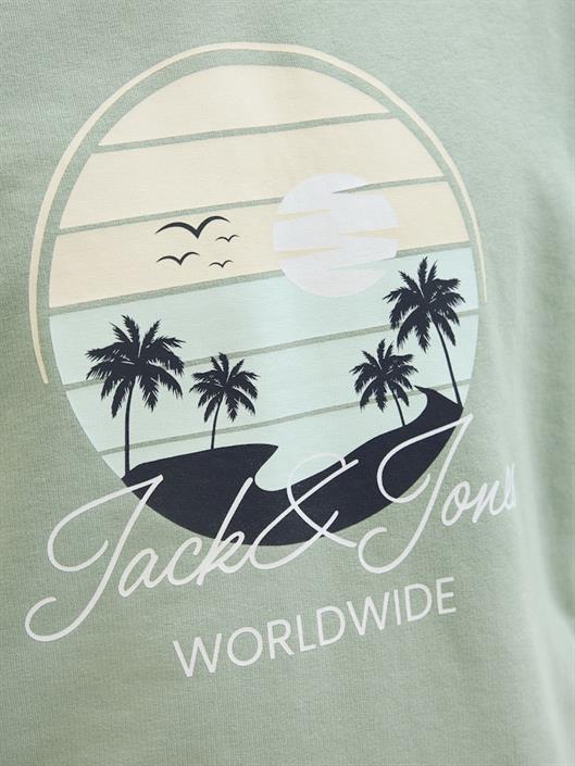 jjpalm-sweat-hood-iceberg-green
