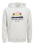 JJPALM SWEAT HOOD white melange