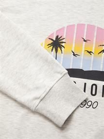 JJPALM SWEAT HOOD white melange