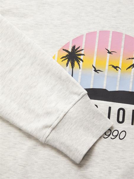 JJPALM SWEAT HOOD white melange