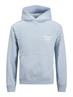 JORNORREBRO TYPO BACK SWEAT HOOD SN skyway