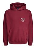 JORNORREBRO TYPO BACK SWEAT HOOD SN tibetan red