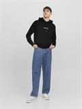 JORVESTERBRO SWEAT HOOD NOOS black
