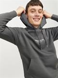JORVESTERBRO SWEAT HOOD NOOS iron gate