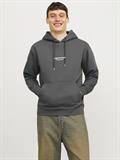 JORVESTERBRO SWEAT HOOD NOOS iron gate