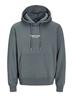 JORVESTERBRO SWEAT HOOD NOOS stormy weather