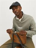 JORVESTERBRO SWEAT QUARTER ZIP HN NOOS silver sage
