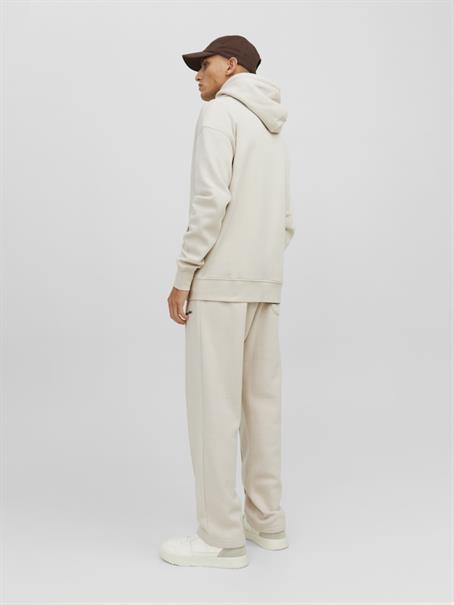 JORVESTERBRO SWEAT ZIP HOOD NOOS moonbeam