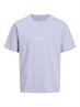 JORVESTERBRO TEE SS CREW NECK NOOS cosmic sky