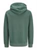 JPRBLUAIDEN HOOD SWEAT pineneedle