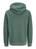 JPRBLUAIDEN HOOD SWEAT pineneedle