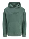 JPRBLUAIDEN HOOD SWEAT pineneedle