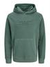 JPRBLUAIDEN HOOD SWEAT pineneedle