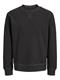 JPRBLULEO CREW NECK SWEAT black