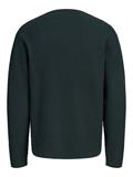 JPRBLUMASON KNIT CREW NECK SN scarab