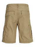 JPSTCOLE MATEO CARGO SHORT MID SN elmwood